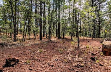 Charming Log Cabin in Tall Pines w Large Deck - Foto 35