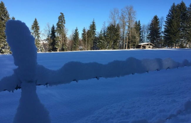 Haus Jorg Sosna Modern Retreat - Foto 6