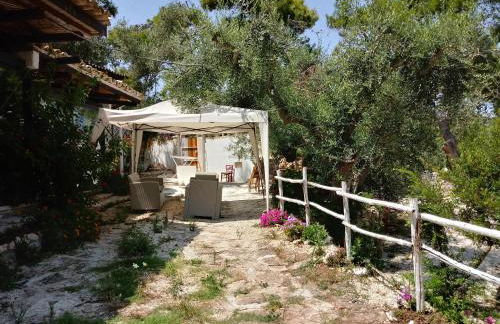 Limonaia in Salento - Foto 8