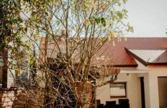 Apartments Peric - Županja - Foto 13