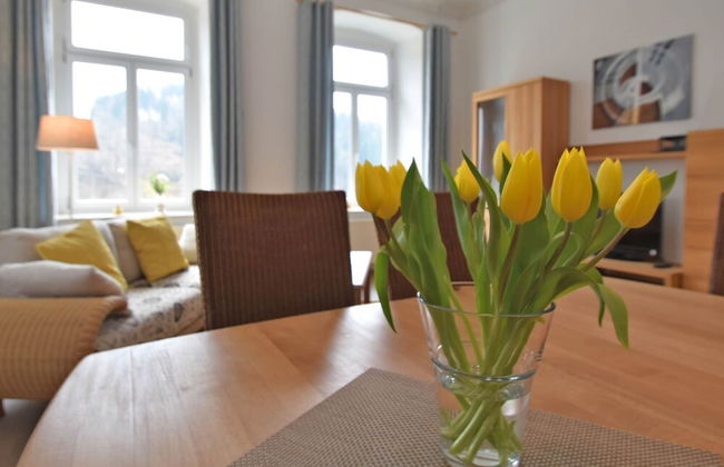 Apartment in Ore Mountains Near Hiking Trails - Foto 22