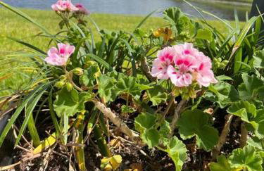 Comfortable House with hot tub close to Disney - Foto 37