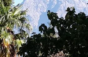 Appartamenti Raineri - Foto 30