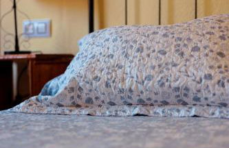 El arroyo del valle - Foto 66