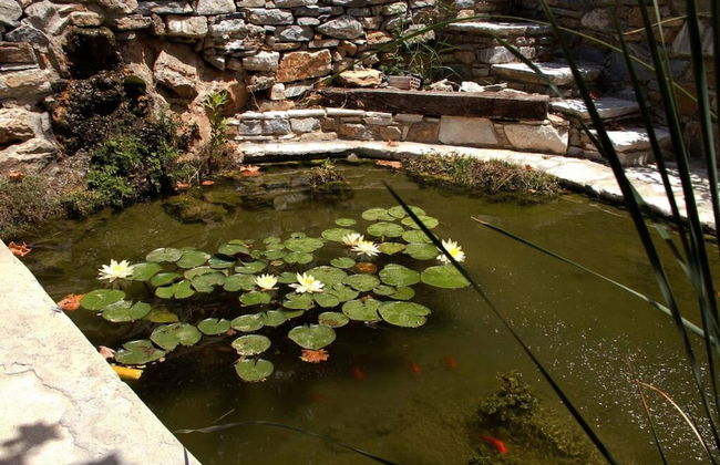 Giannakis Filoxenia - Foto 35