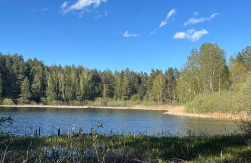 Słoneczny domek na Mazurach - Foto 35