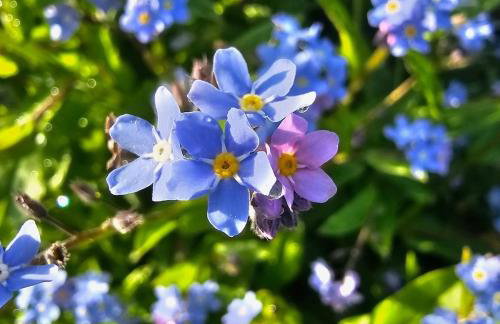 Magical places Unter den Linden - Foto 26