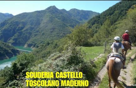 Dream Apartment - Foto 62