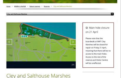 Oak ridge cabin - Foto 34