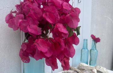 Sabiaguaba Duplex Mansão Beach - Foto 10