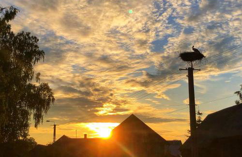 Magiczne Podlasie - Foto 44