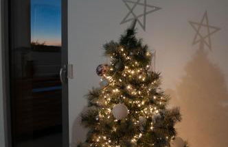 Duplex 6 personnes, vue panoramique sur lac - Foto 12