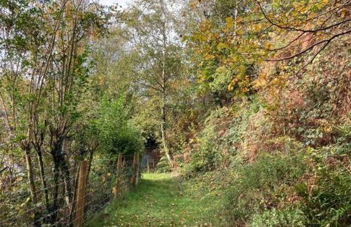 Pretty sunny cottage, Machynlleth - Photo 20