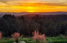 Podere La Gualda Vecchia alloggi di charme immersi nel Giardino Emozionale outdoor SPA - Foto 8