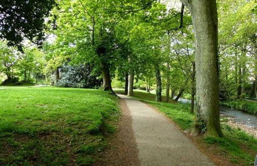 Tranquil Apartment at Ashton - Photo 7