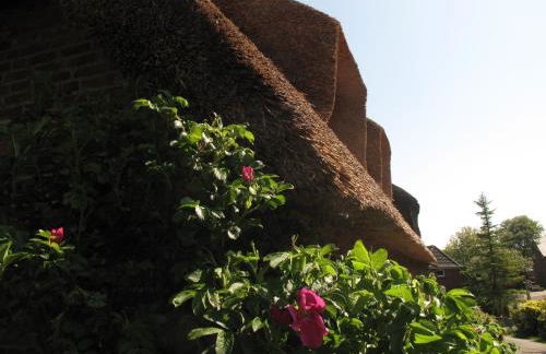 Friesenhaus am Meer - Foto 2