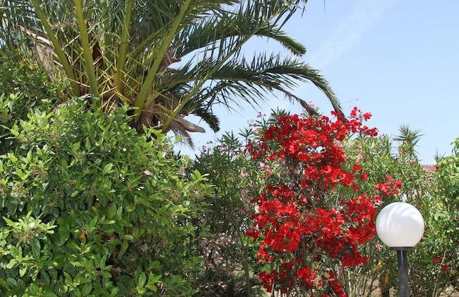 Villetta Immersa nel Verde Torre Guaceto - Foto 19