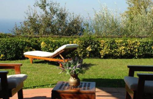 La Violetta - Photo 8