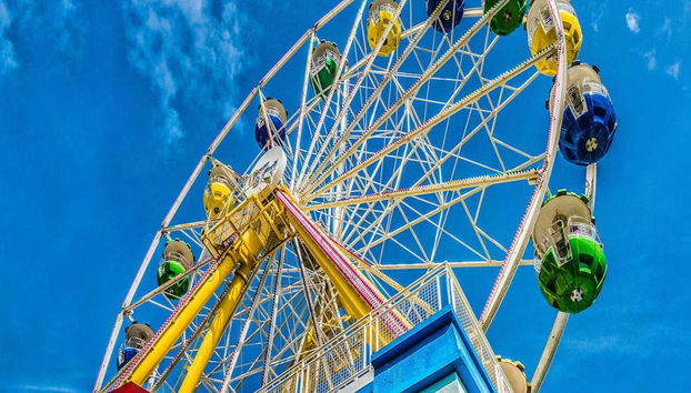 Hong Kong Ocean Park -Ticket - Photo 3