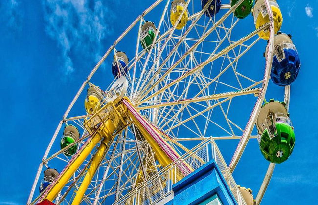 Hong Kong Ocean Park -Ticket - Photo 3