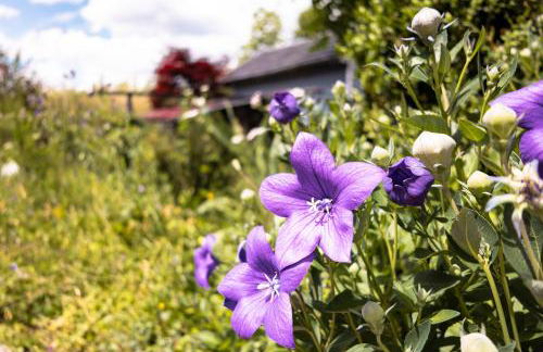 Ferienwohnung Fuchsfelsen, perfekt für Familien mit Kindern - Foto 24