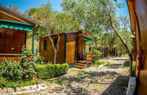 Agriturismo Valle di Marco - Foto 5