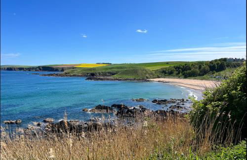 Romantic luxury Cottage right next to the ocean - Photo 13