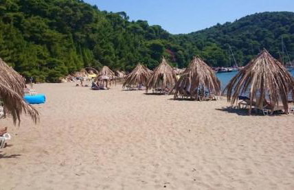 Baldo's Happy Garden- BRAND NEW - Foto 24