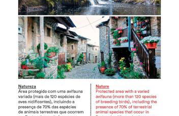 Casa do Galo / Galo House - Foto 30