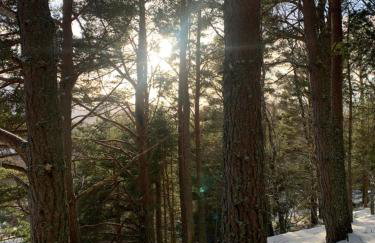 The One - Chalet in the Cairngorms - Foto 18