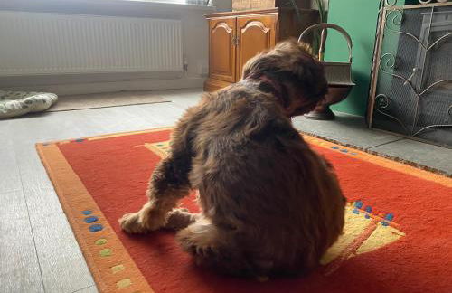 The Forager's Rest - Foto 41