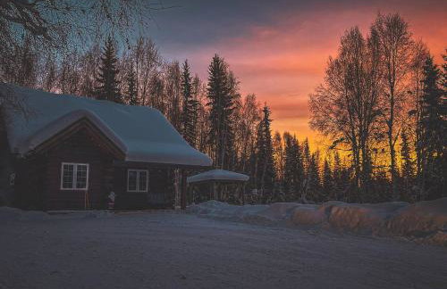 Northern Lights Log House w/ Sauna - Foto 73