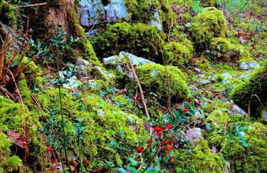 Apartamentos El Caxigu - Foto 20