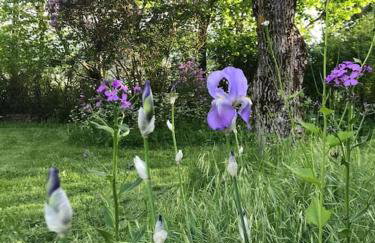 Magnifique maison dans un écrin de verdure - Idéal séjour en famille ou amis - Photo 20