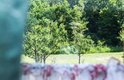 Forest Escape - Foto 29