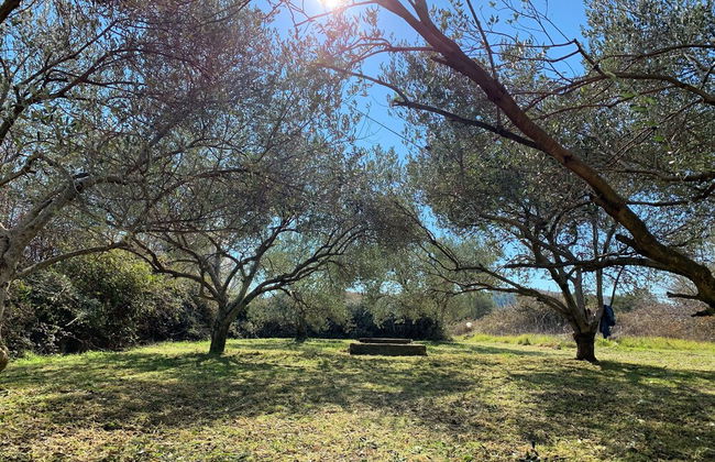 Apartments Enida - Foto 49