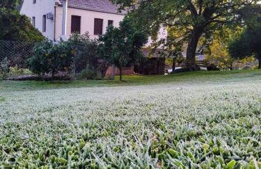 Um lugar com a alma de campo - Foto 7