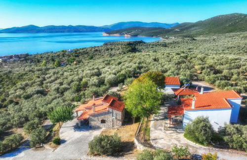 SIX INDEPENDENT HOUSES BY THE sea - Foto 49