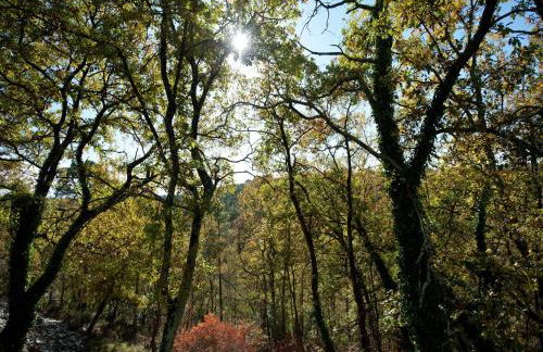 Villa in Provence with Pool and Garden - Foto 30