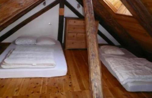 Landrosace - Photo 31