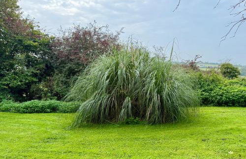 House Martin - Foto 43