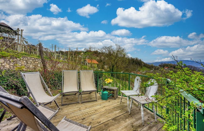 Vineyard Cottage Vercek - Foto 21