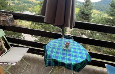 Le ZEN au pied du Grand Veymont en été en hiver - Foto 16