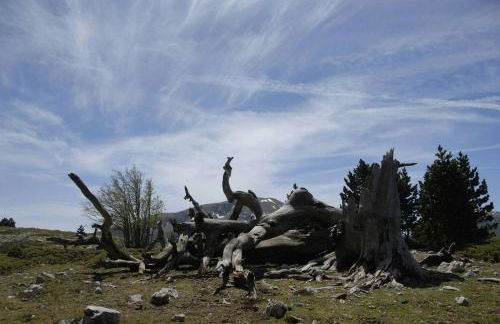 Tana di Zia Nature, Yourself, Love - Foto 41