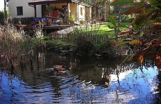 Bryn Elltyd Eco Self-Catering - Foto 17