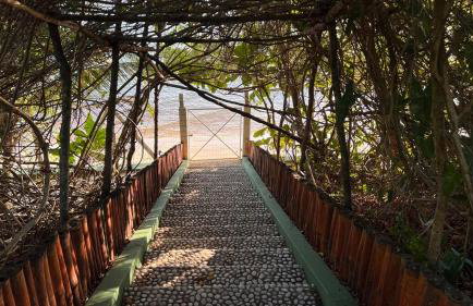 Chácara Adelly - Foto 28