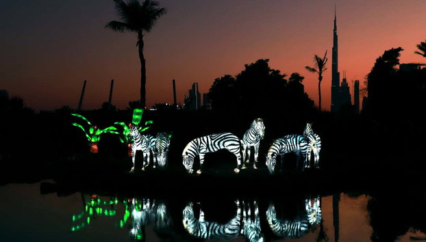 Dubai Garden Glow Tickets - Photo 5, Check out the Dubai Garden Glow