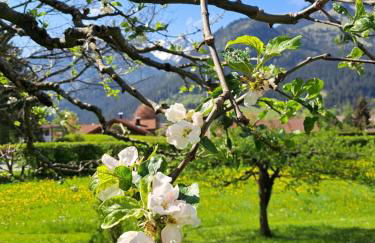 Landhaus Via Decia - Bad Hindelang PLUS Partner - Foto 70