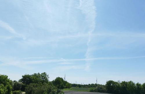 Kleine Freiheit - Foto 18