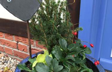 Spreewaldinsel Leipe - Foto 42